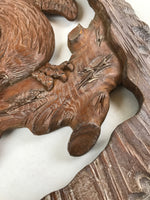 SPECIAL SHIPPING UPGRADE TO DHL FR20