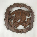 SPECIAL SHIPPING UPGRADE TO DHL FR20