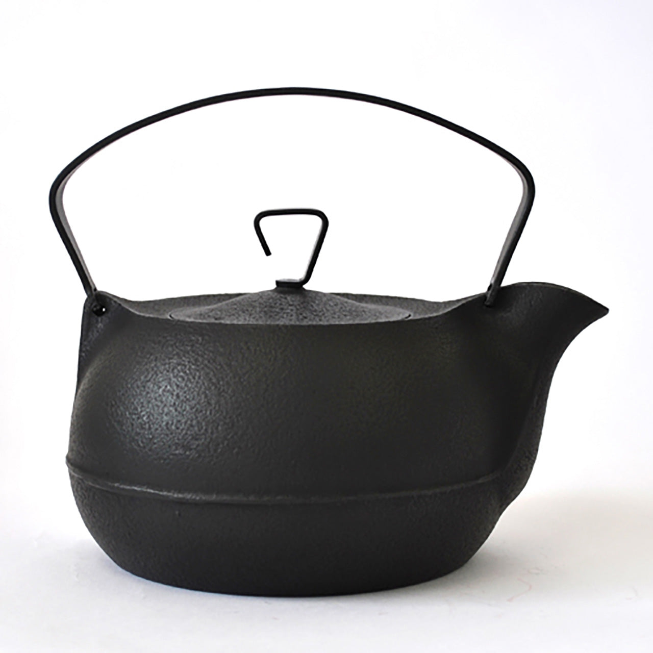 Style Selections Black Cast Iron Kettle Steamer at