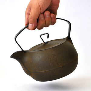 https://chidorivintage.com/cdn/shop/files/Tea-supplies-Cast-iron-kettle-1_3L-Brown-Award-winning-work-Nambu-ironware-Metalwork-6_300x.jpg?v=1690918132