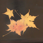 Antique C1900 Japanese Lacquered Tray Rectangle Obon Nurimono UR792