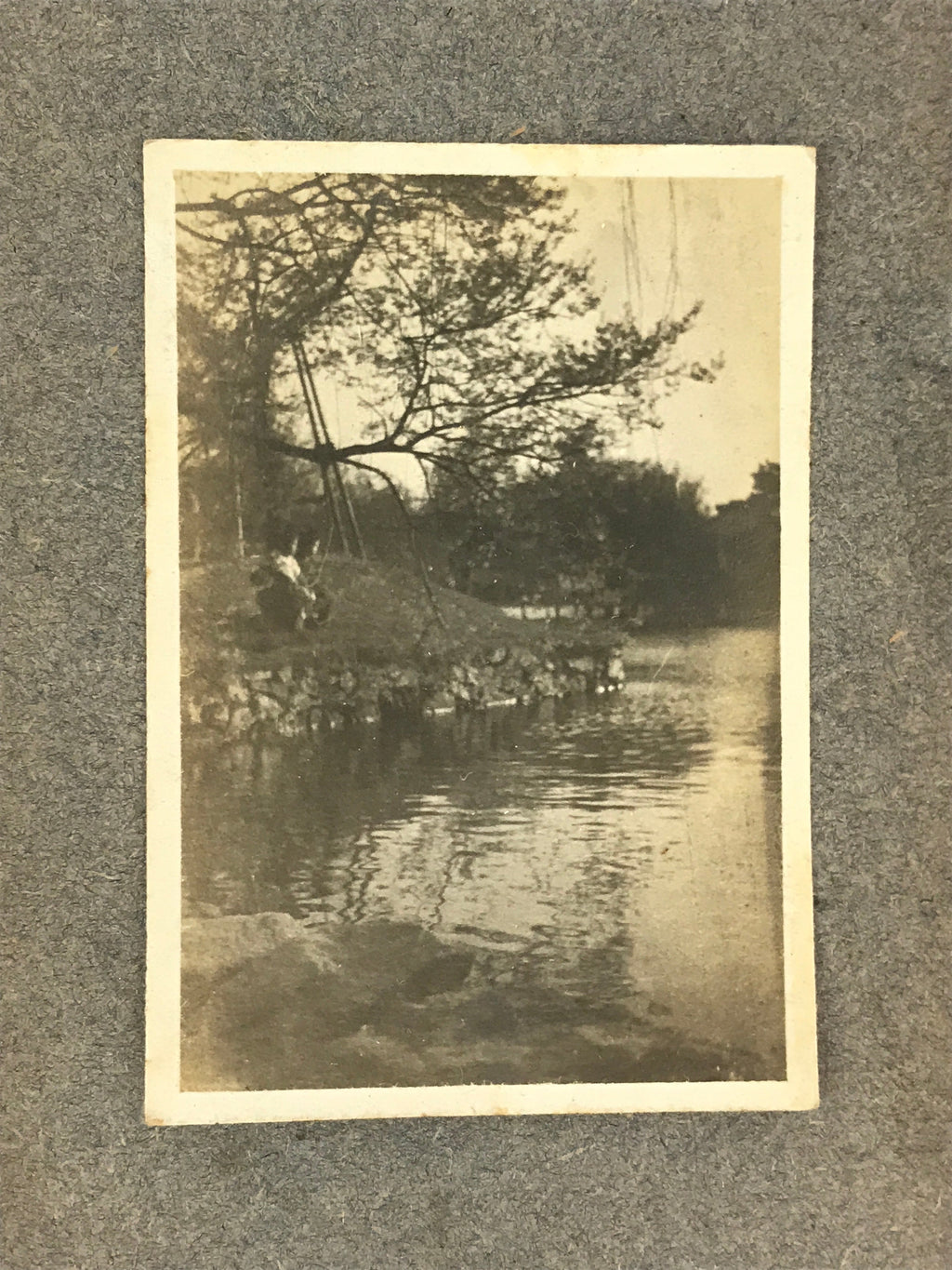 Antique C1912 Japanese Photo Album 21pc Taisho Kenpei Dr Nurse AB124