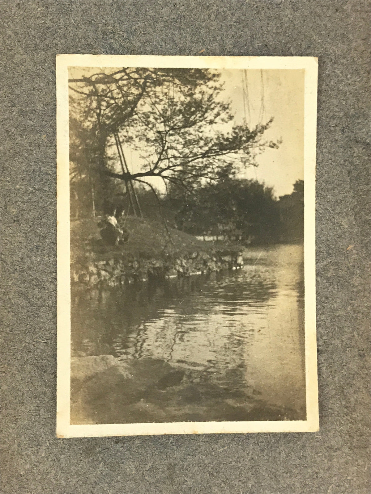 Antique C1912 Japanese Photo Album 21pc Taisho Kenpei Dr Nurse AB124