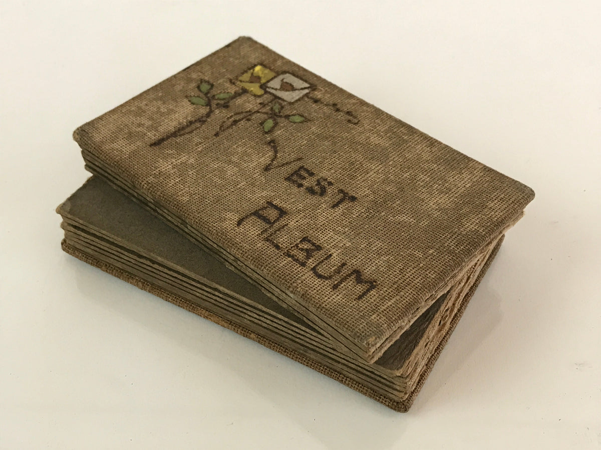 Antique C1912 Japanese Photo Album 21pc Taisho Kenpei Dr Nurse AB124