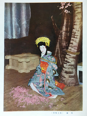 Antique C1923 Japanese Photograph information Shashin Jiho Geisha Kimono AB120