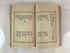 Antique C1927 Japanese Flower Arrangement Ikebana Book Showa 2 JK408