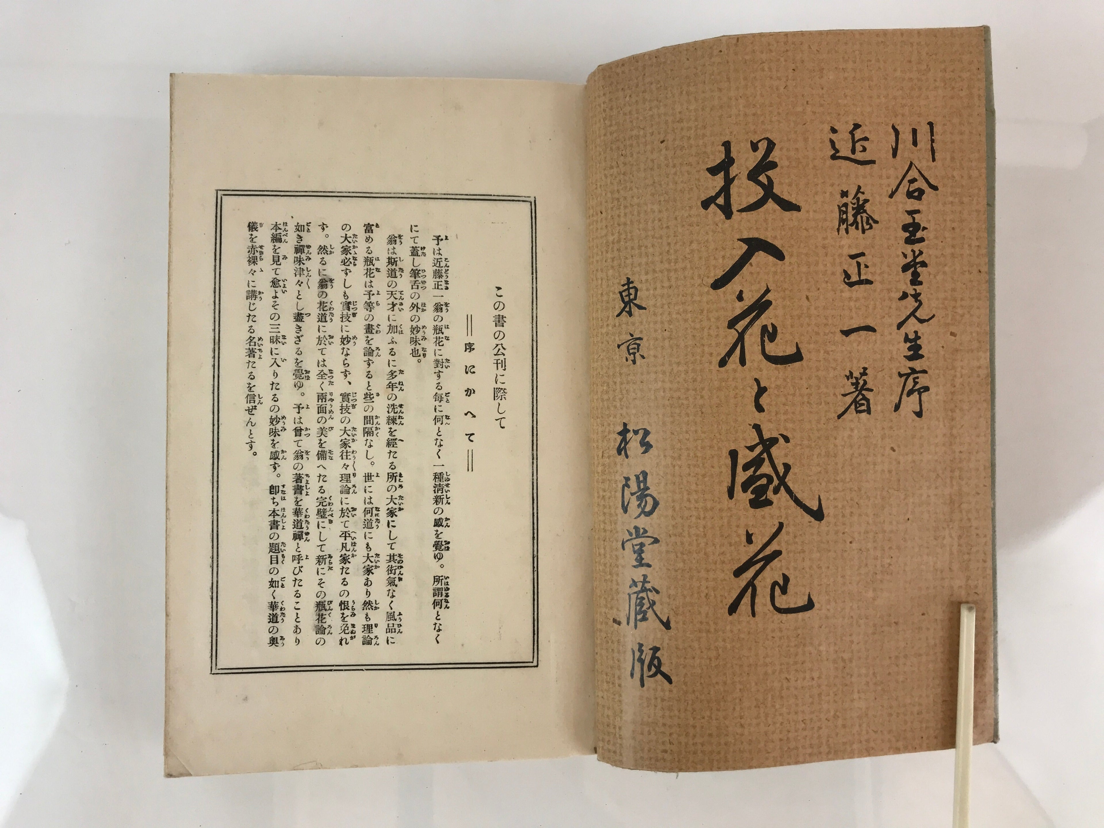 Antique C1927 Japanese Flower Arrangement Ikebana Book Showa 2 JK408