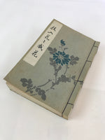 Antique C1927 Japanese Flower Arrangement Ikebana Book Showa 2 JK408