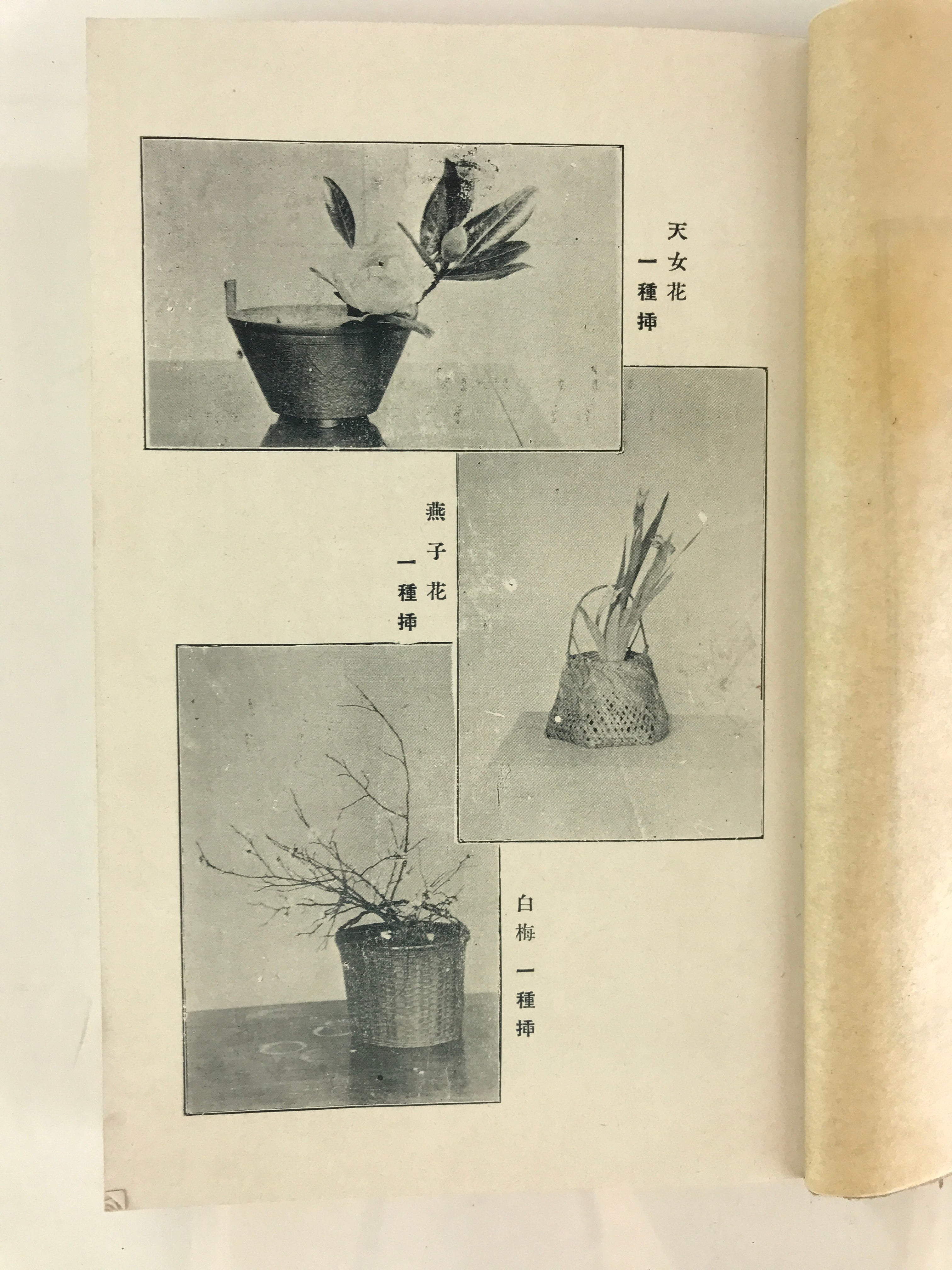 Antique C1927 Japanese Flower Arrangement Ikebana Book Showa 2 JK408