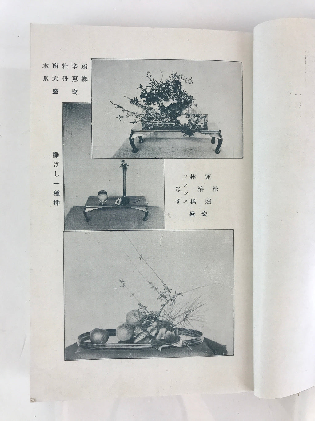 Antique C1927 Japanese Flower Arrangement Ikebana Book Showa 2 JK408
