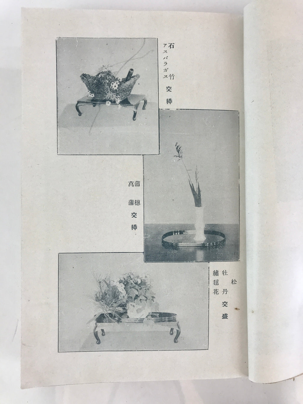 Antique C1927 Japanese Flower Arrangement Ikebana Book Showa 2 JK408
