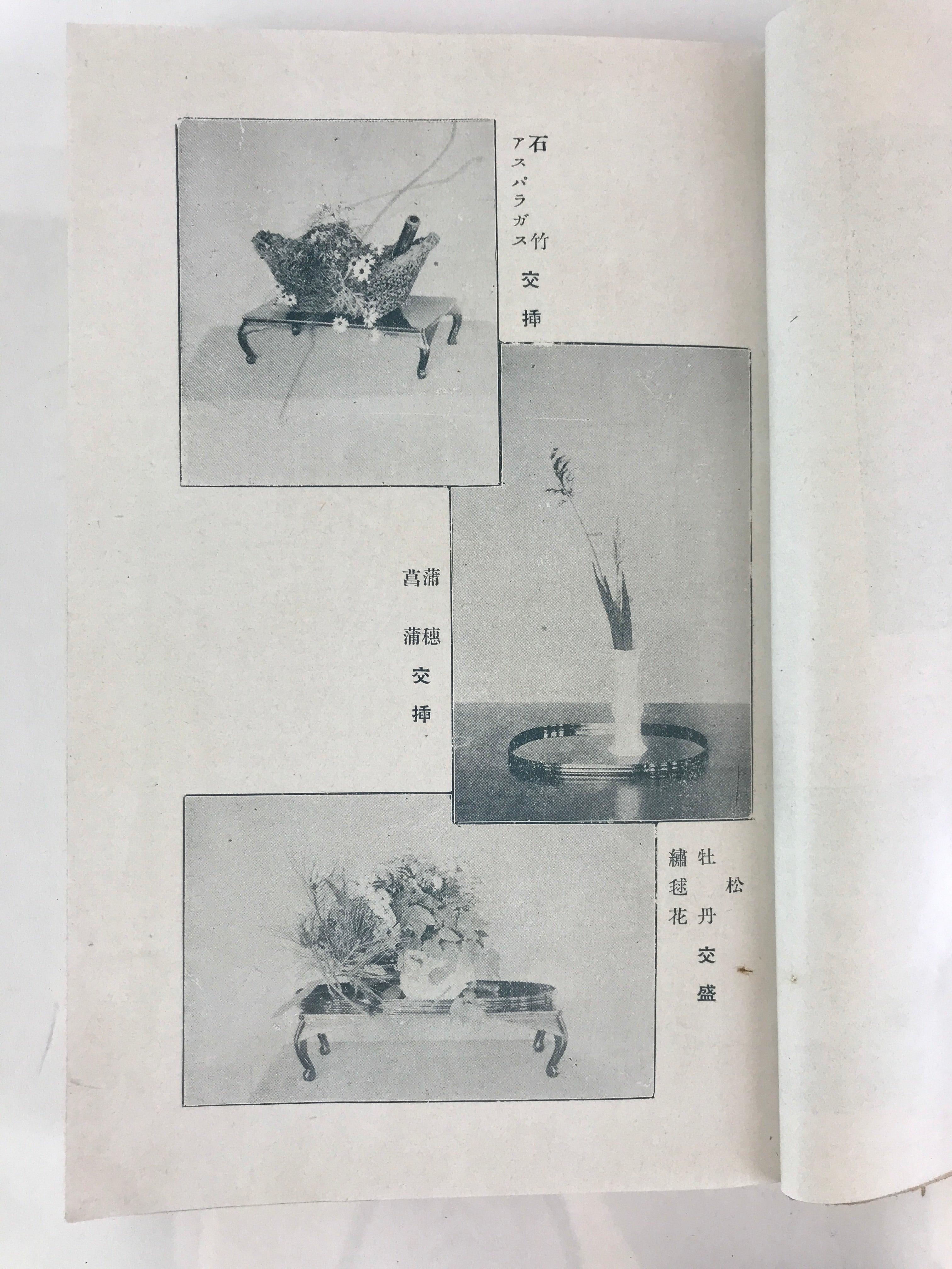 Antique C1927 Japanese Flower Arrangement Ikebana Book Showa 2 JK408