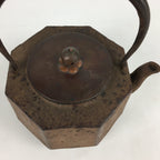 Antique Japanese Cast Iron Copper Kettle Teapot Tea Ceremony Tetsubin Sado TG153