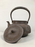 Antique Japanese Cast Iron Teapot Kyusu Tetsubin Kettle Arare Nanbu Tekki T77