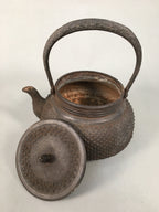 Antique Japanese Cast Iron Teapot Kyusu Tetsubin Kettle Arare Nanbu Tekki T77