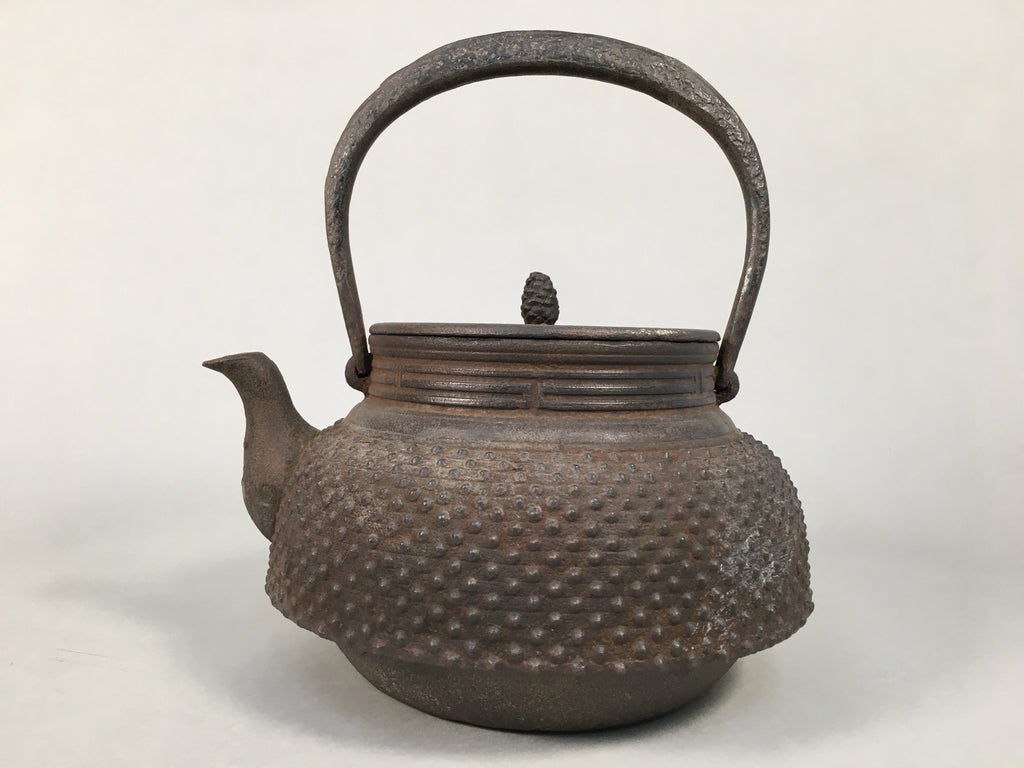 Antique Japanese Cast Iron Teapot Kyusu Tetsubin Kettle Arare Nanbu Tekki T77