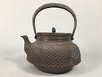 Antique Japanese Cast Iron Teapot Kyusu Tetsubin Kettle Arare Nanbu Tekki T77