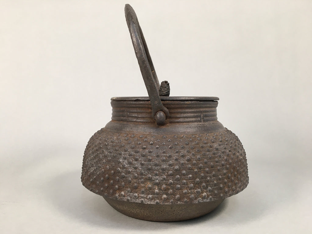Antique Japanese Cast Iron Teapot Kyusu Tetsubin Kettle Arare Nanbu Tekki T77