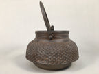 Antique Japanese Cast Iron Teapot Kyusu Tetsubin Kettle Arare Nanbu Tekki T77