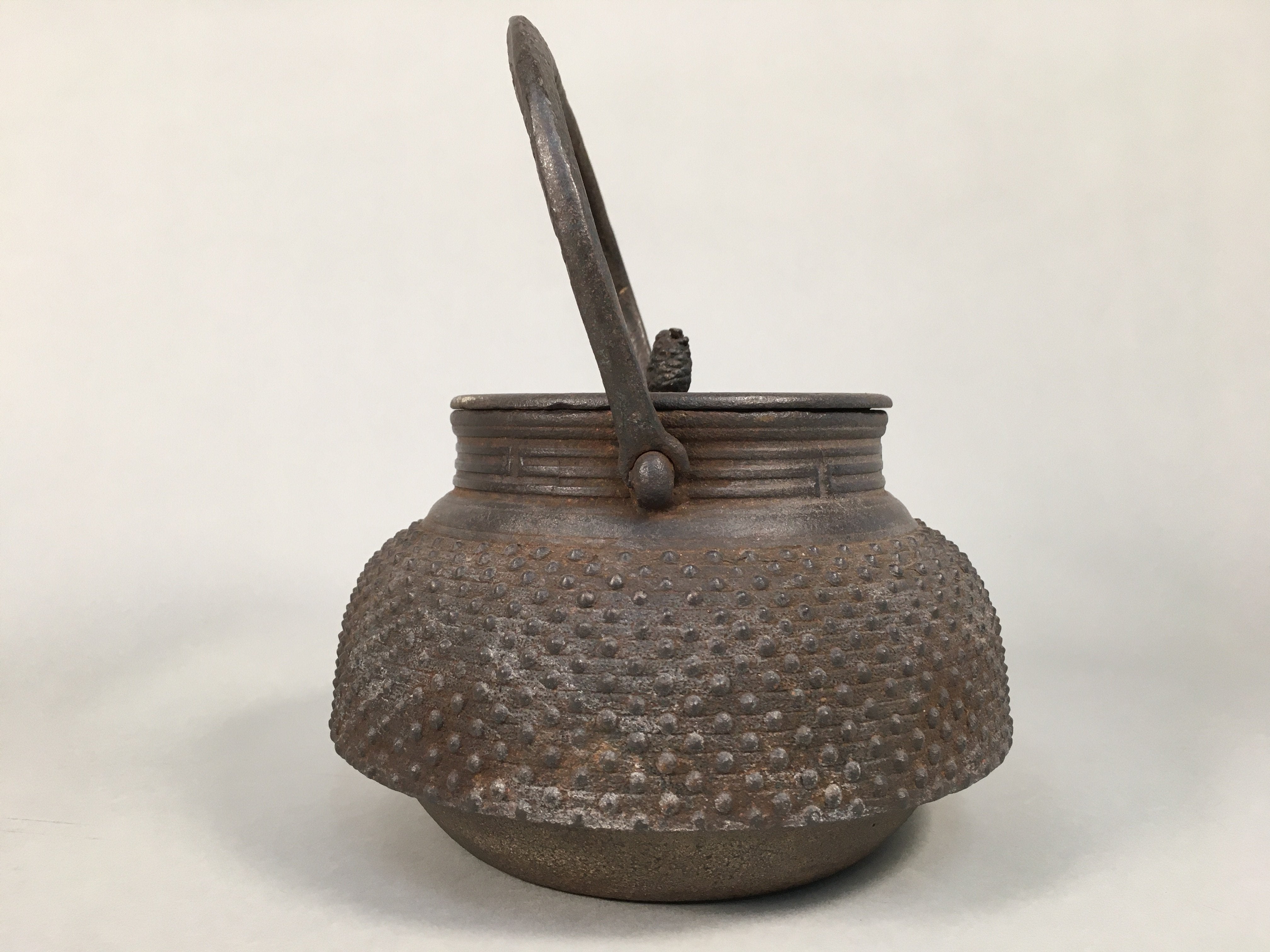 Japanese Cast Iron Teapot Vtg Kyusu Tetsubin Kettle Flower Nanbu