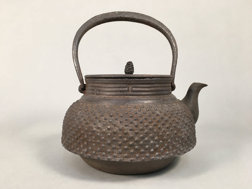 Antique Japanese Cast Iron Teapot Kyusu Tetsubin Kettle Arare Nanbu Tekki T77