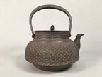 Antique Japanese Cast Iron Teapot Kyusu Tetsubin Kettle Arare Nanbu Tekki T77