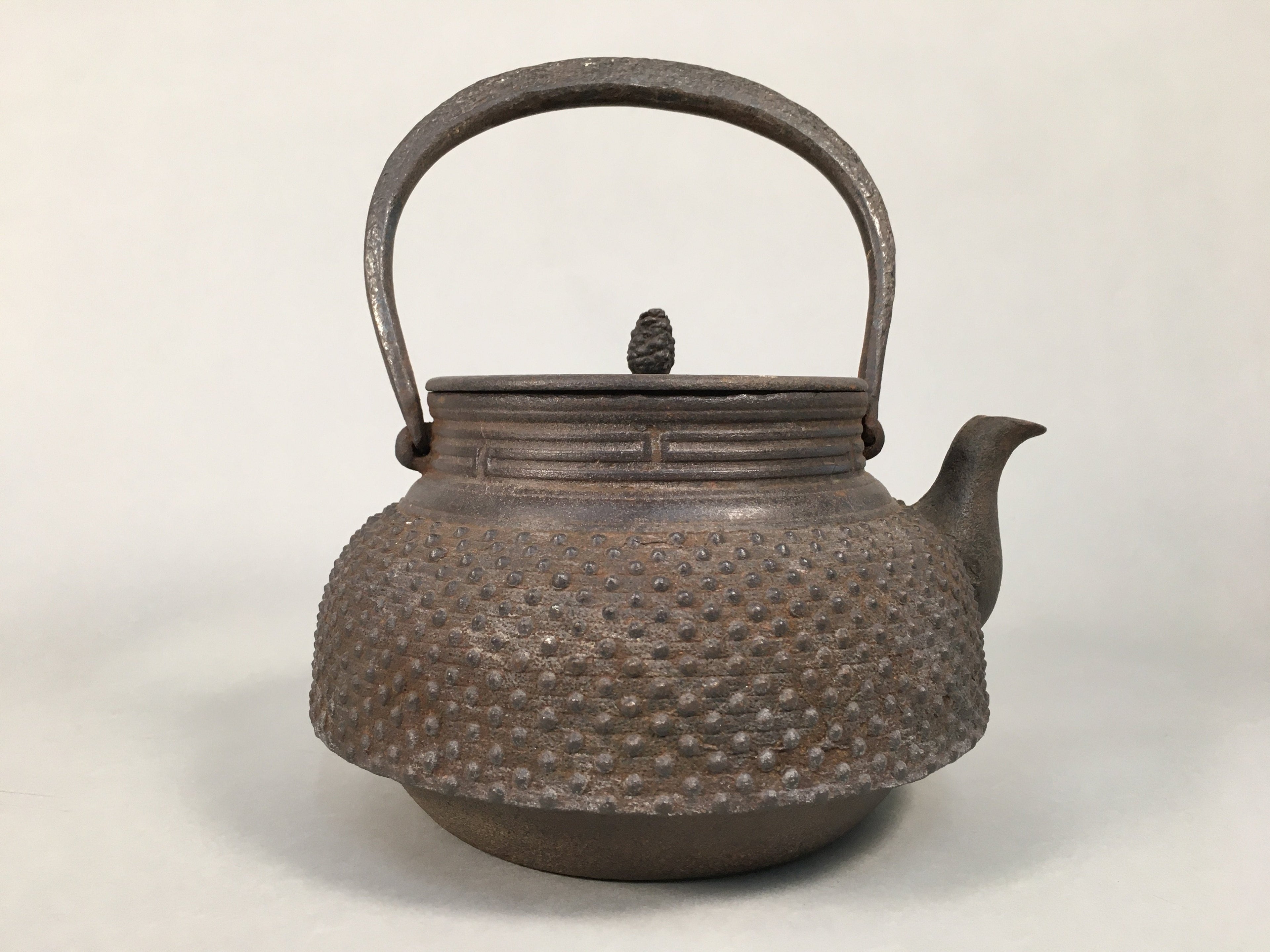 Antique Japanese Cast Iron Teapot Kyusu Tetsubin Kettle Arare Nanbu Tekki T77