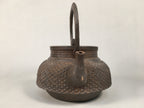 Antique Japanese Cast Iron Teapot Kyusu Tetsubin Kettle Arare Nanbu Tekki T77