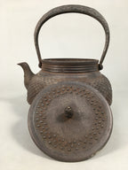 Antique Japanese Cast Iron Teapot Kyusu Tetsubin Kettle Arare Nanbu Tekki T77