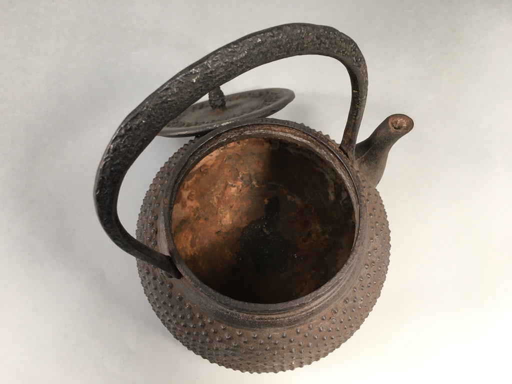 Antique Japanese Cast Iron Teapot Kyusu Tetsubin Kettle Arare Nanbu Tekki T77