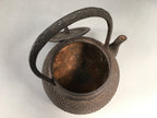 Antique Japanese Cast Iron Teapot Kyusu Tetsubin Kettle Arare Nanbu Tekki T77