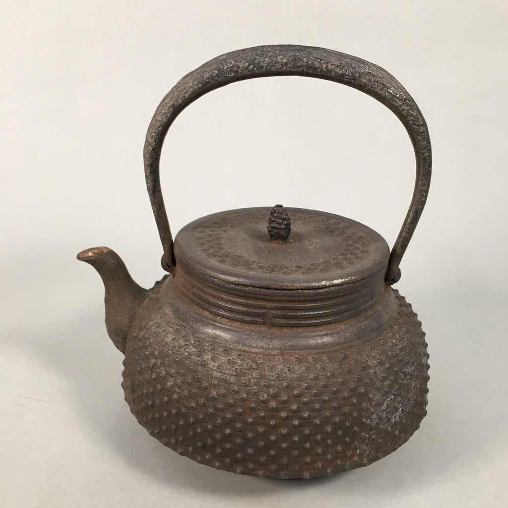 Antique Japanese Cast Iron Teapot Kyusu Tetsubin Kettle Arare Nanbu Tekki T77