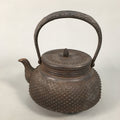 Antique Japanese Cast Iron Teapot Kyusu Tetsubin Kettle Arare Nanbu Tekki T77