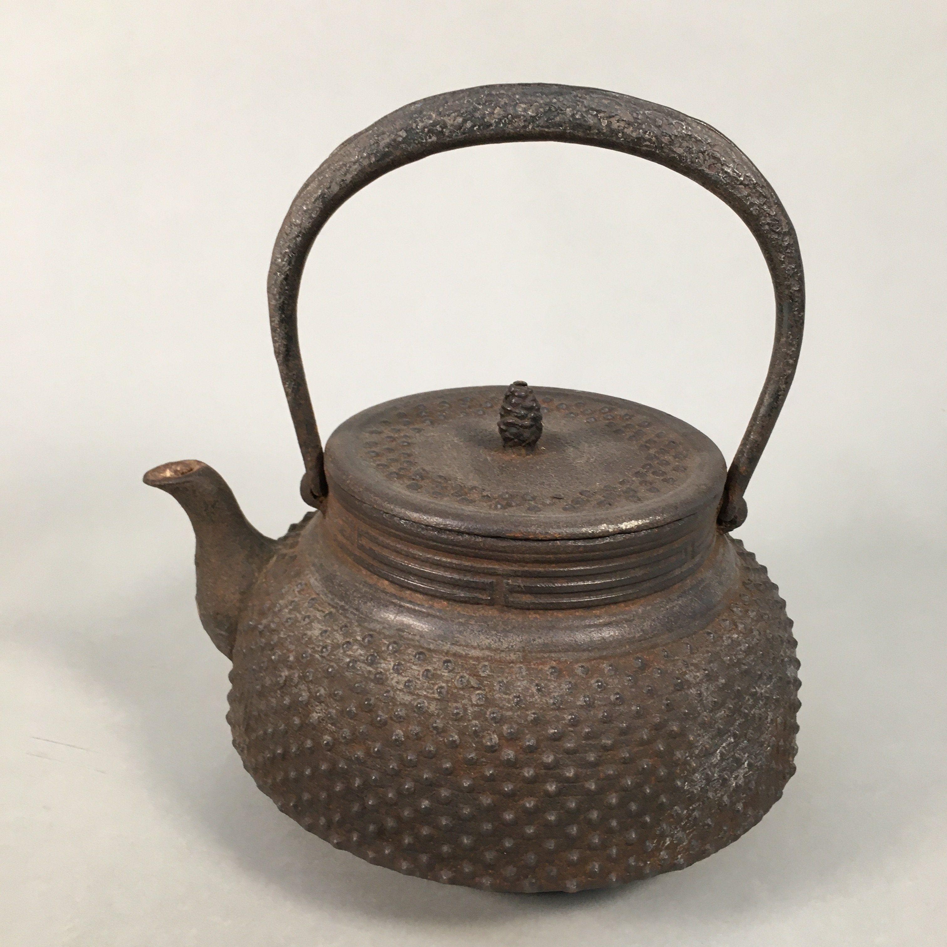 Antique Japanese Cast Iron Teapot Kyusu Tetsubin Kettle Arare Nanbu Tekki T77