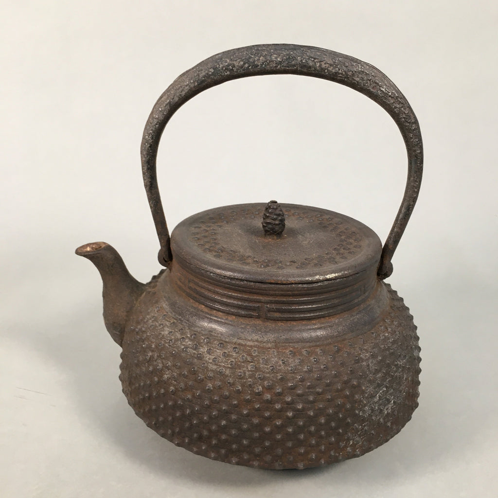 https://chidorivintage.com/cdn/shop/products/Antique-Japanese-Cast-Iron-Teapot-Kyusu-Tetsubin-Kettle-Arare-Nanbu-Tekki-T77_a169fe92-1a52-405f-bbca-49bb45e4b188_1024x1024.jpg?v=1629480881