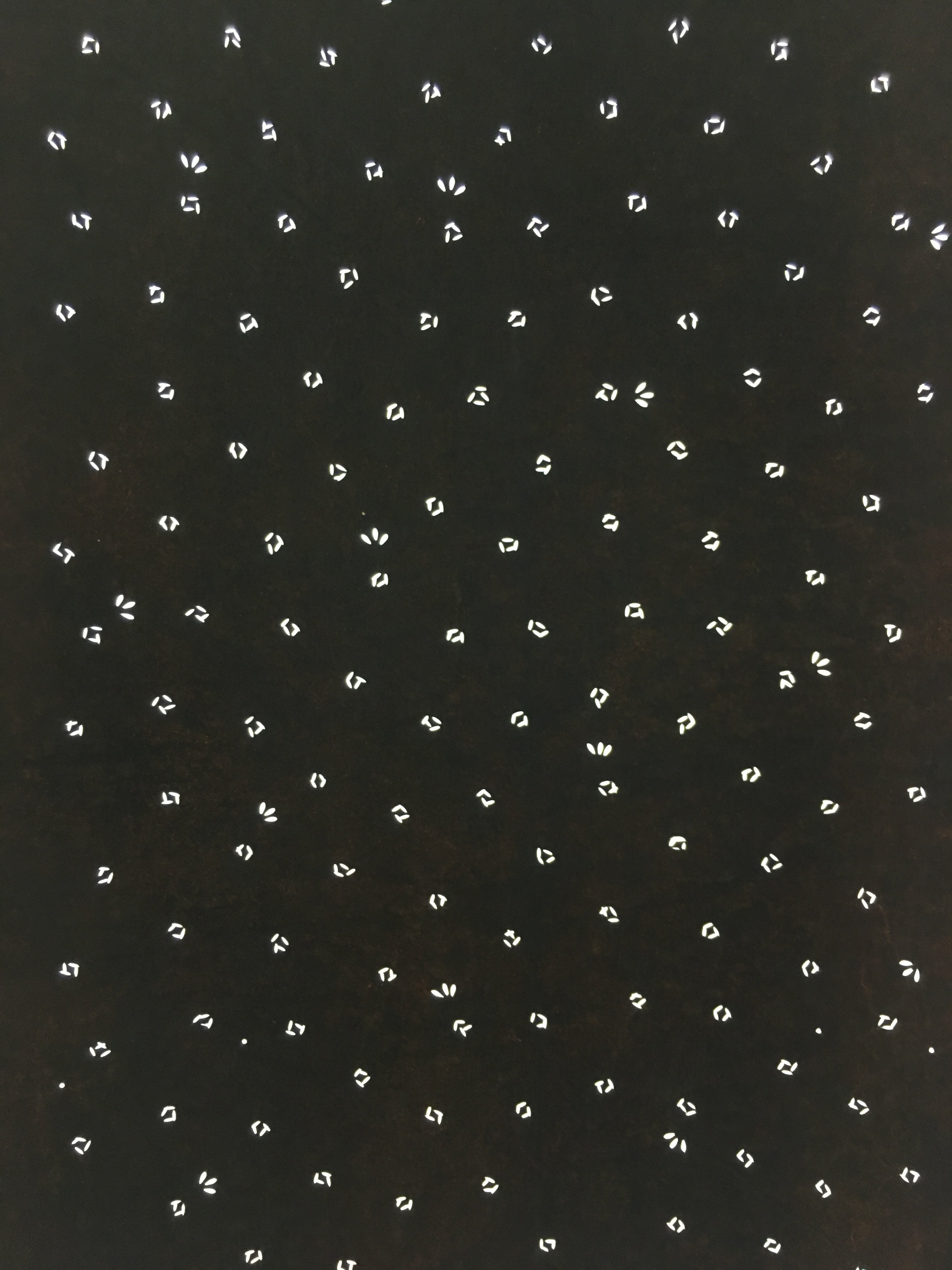Antique Japanese Ise Katagami Kimono Stencil Edo Era Flowers petals Motif A143