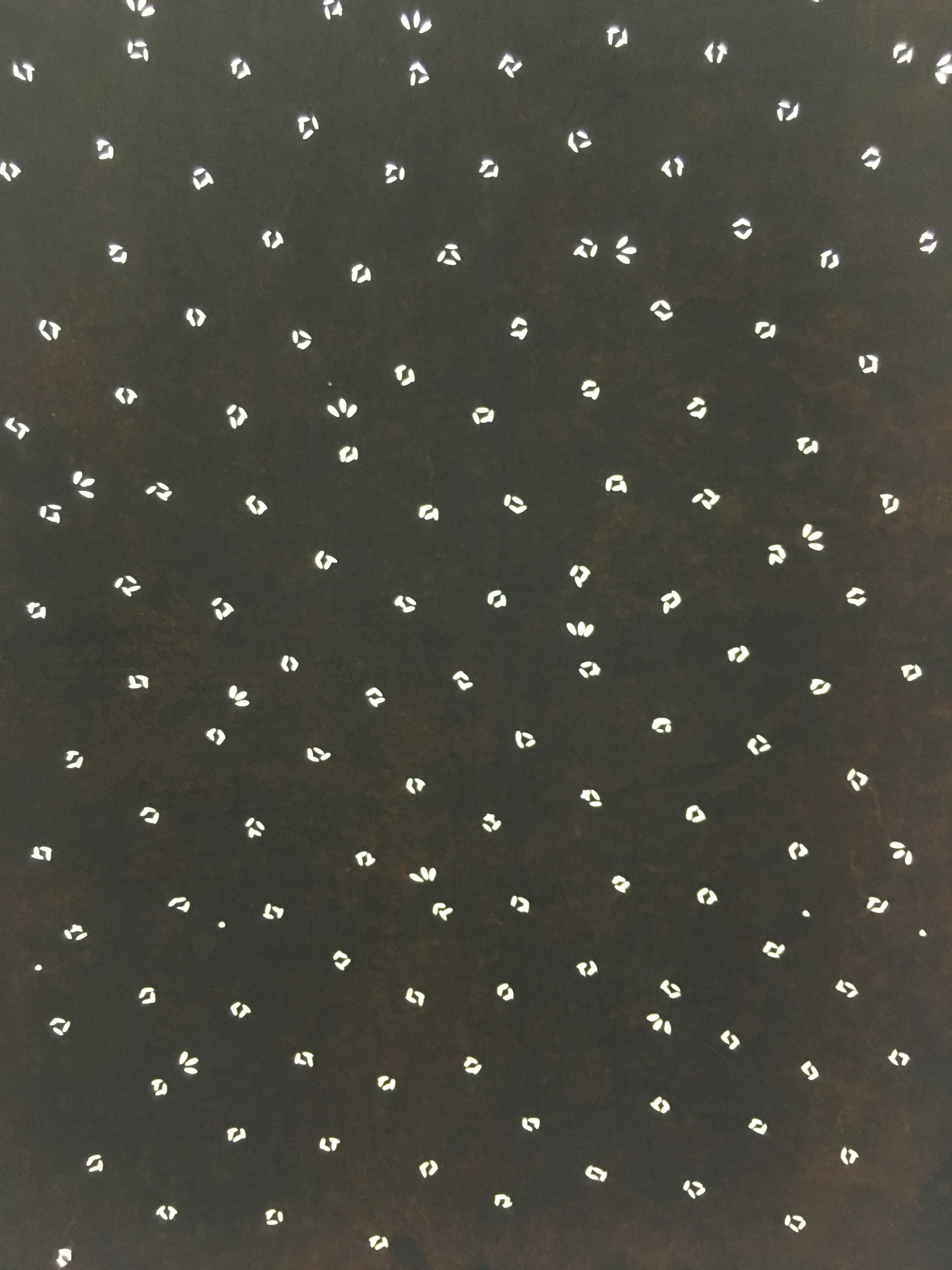 Antique Japanese Ise Katagami Kimono Stencil Edo Era Flowers petals Motif A143