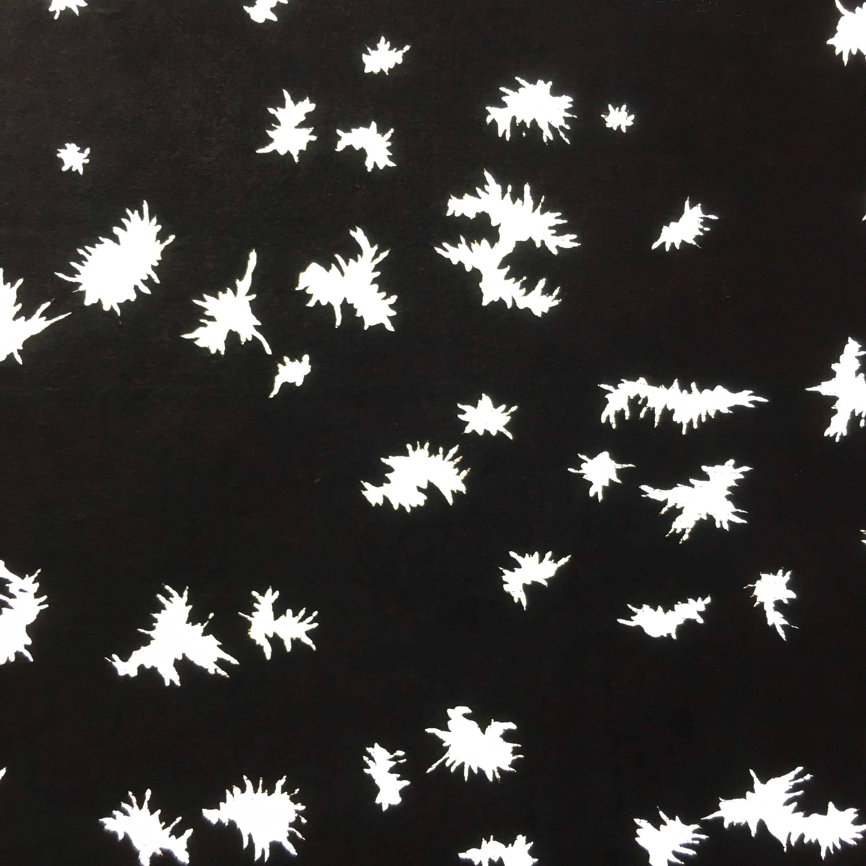 Antique Japanese Katagami 10sheet Set Practice Kimono Stencil Katazome BS35