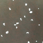 Antique Japanese Katagami 10sheet Set Practice Kimono Stencil Katazome BS37