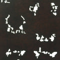 Antique Japanese Katagami 10sheet Set Practice Kimono Stencil Katazome BS38