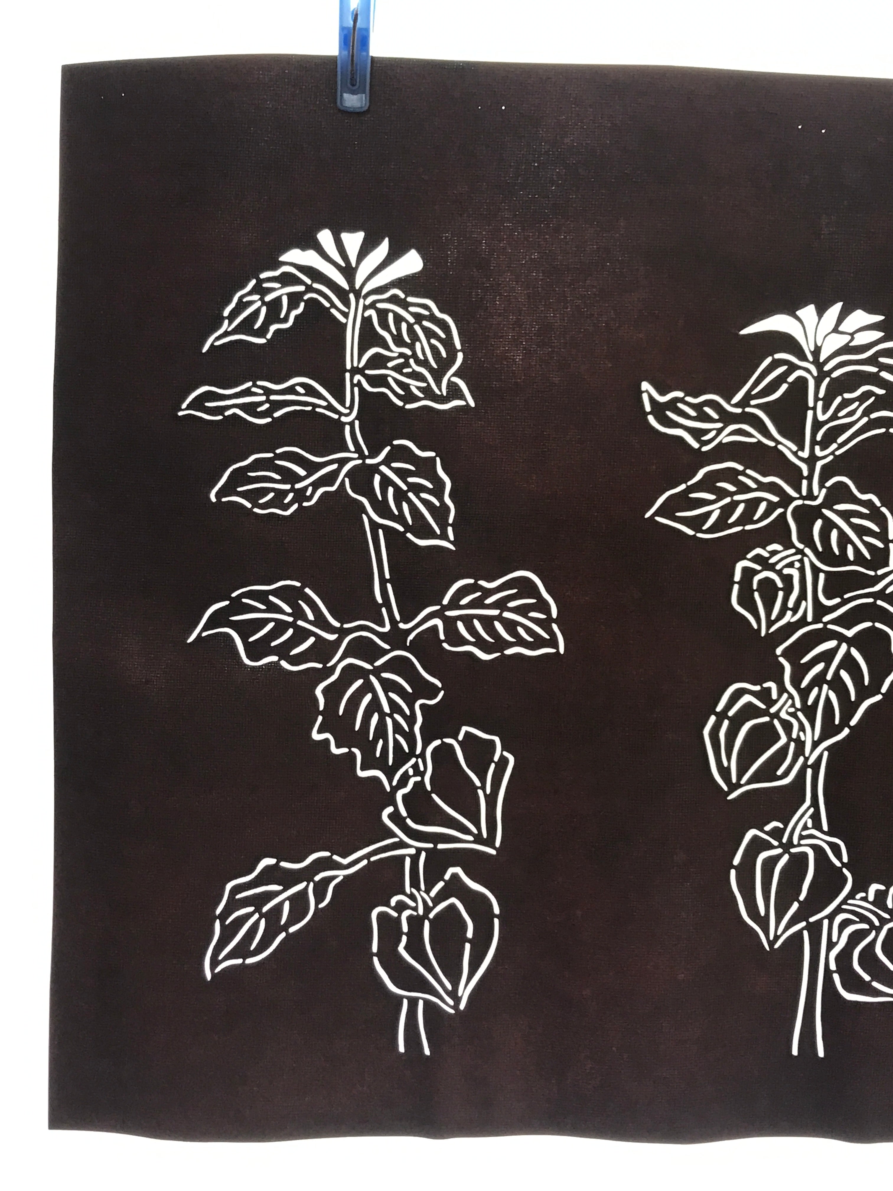 Antique Japanese Katagami Kimono Paper Stencil Hozuki Lantern Flower 4Y506