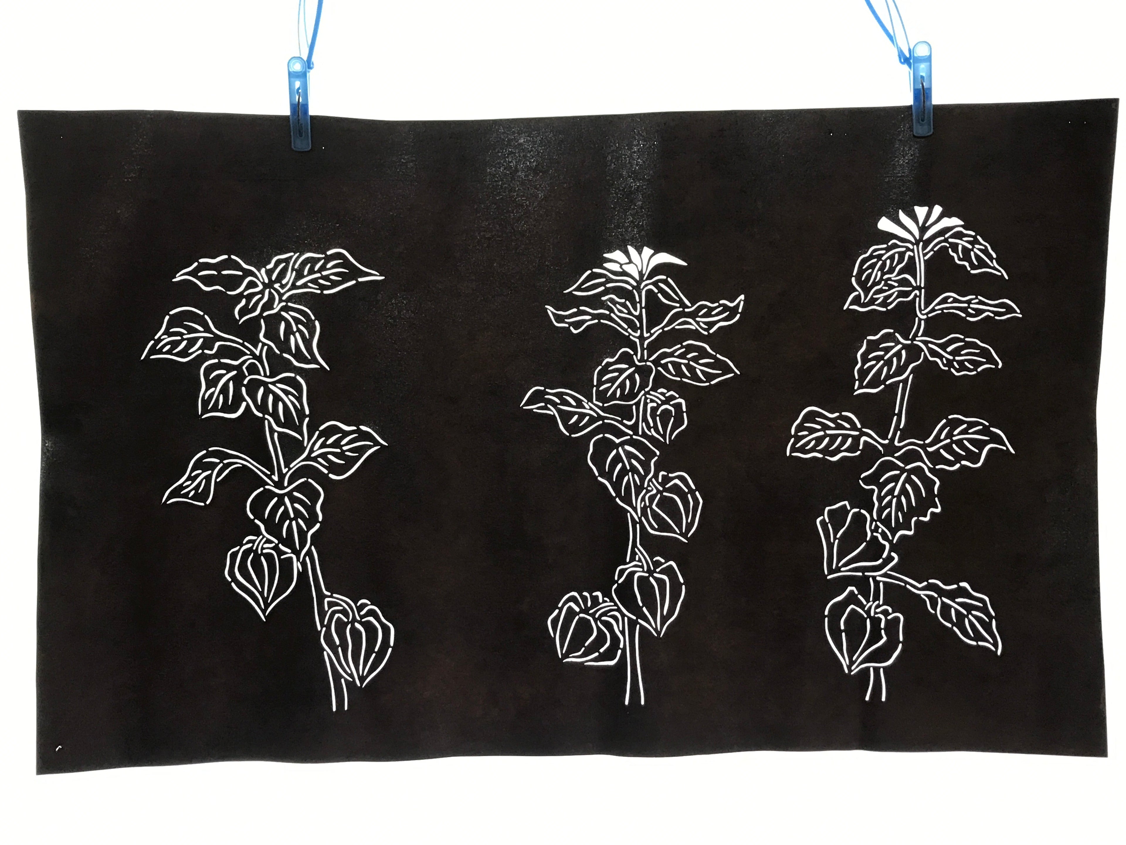 Antique Japanese Katagami Kimono Paper Stencil Hozuki Lantern Flower 4Y506