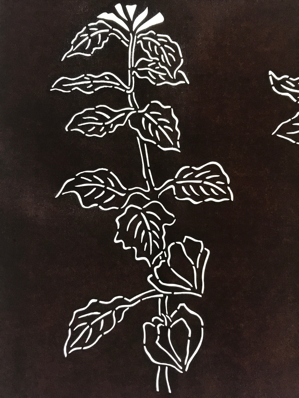 Antique Japanese Katagami Kimono Paper Stencil Hozuki Lantern Flower 4Y506