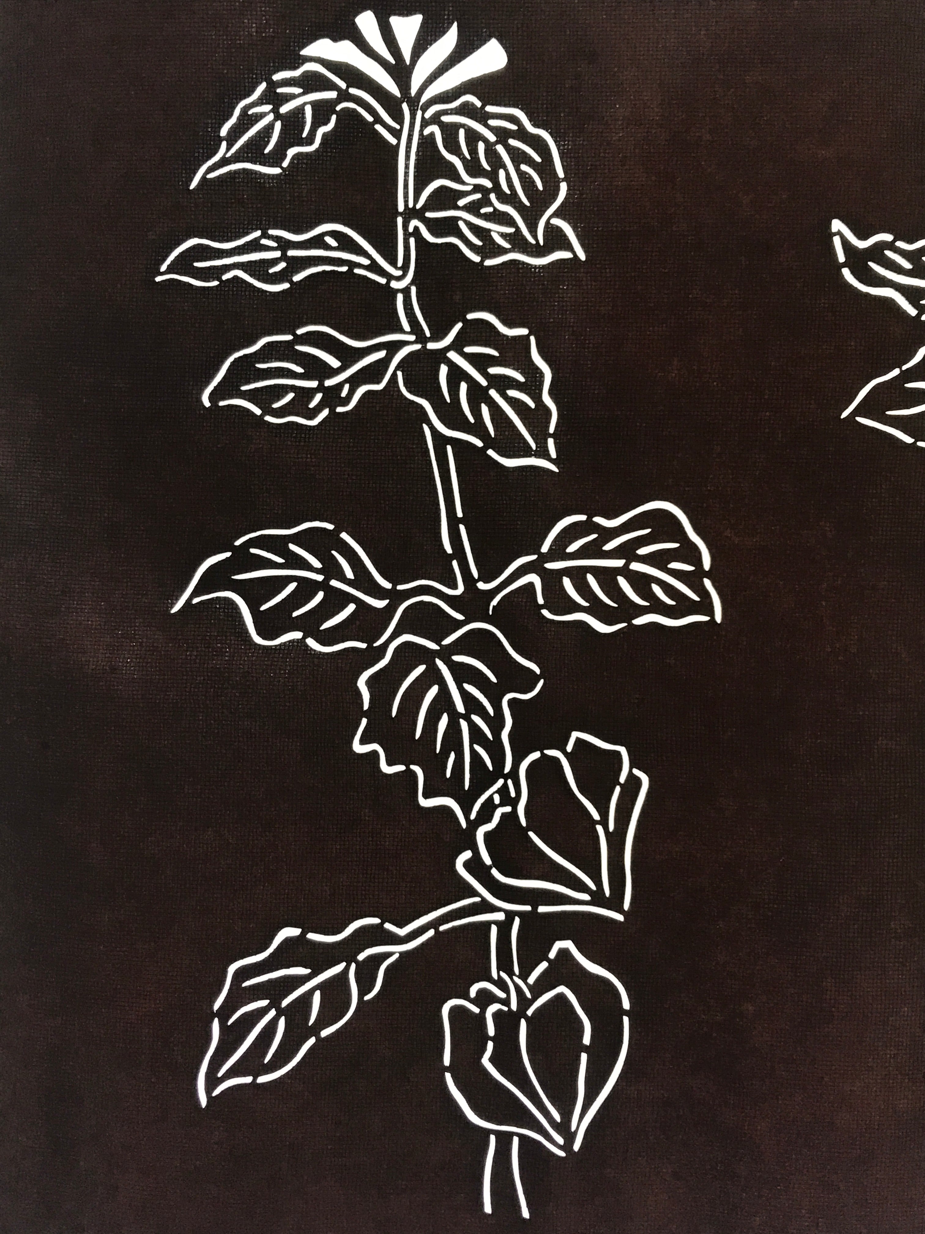 Antique Japanese Katagami Kimono Paper Stencil Hozuki Lantern Flower 4Y506