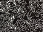 Antique Japanese Katagami Kimono Paper Stencil Katazome Butterflies 4Y484