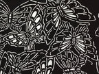 Antique Japanese Katagami Kimono Paper Stencil Katazome Butterflies 4Y484