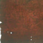 Antique Japanese Katagami Kimono Stencil Katazome Design Like A Leaf C807