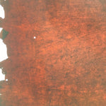 Antique Japanese Katagami Kimono Stencil Katazome Design Pine Leaf C814