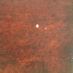 Antique Japanese Katagami Kimono Stencil Katazome Design Pine Leaf C814