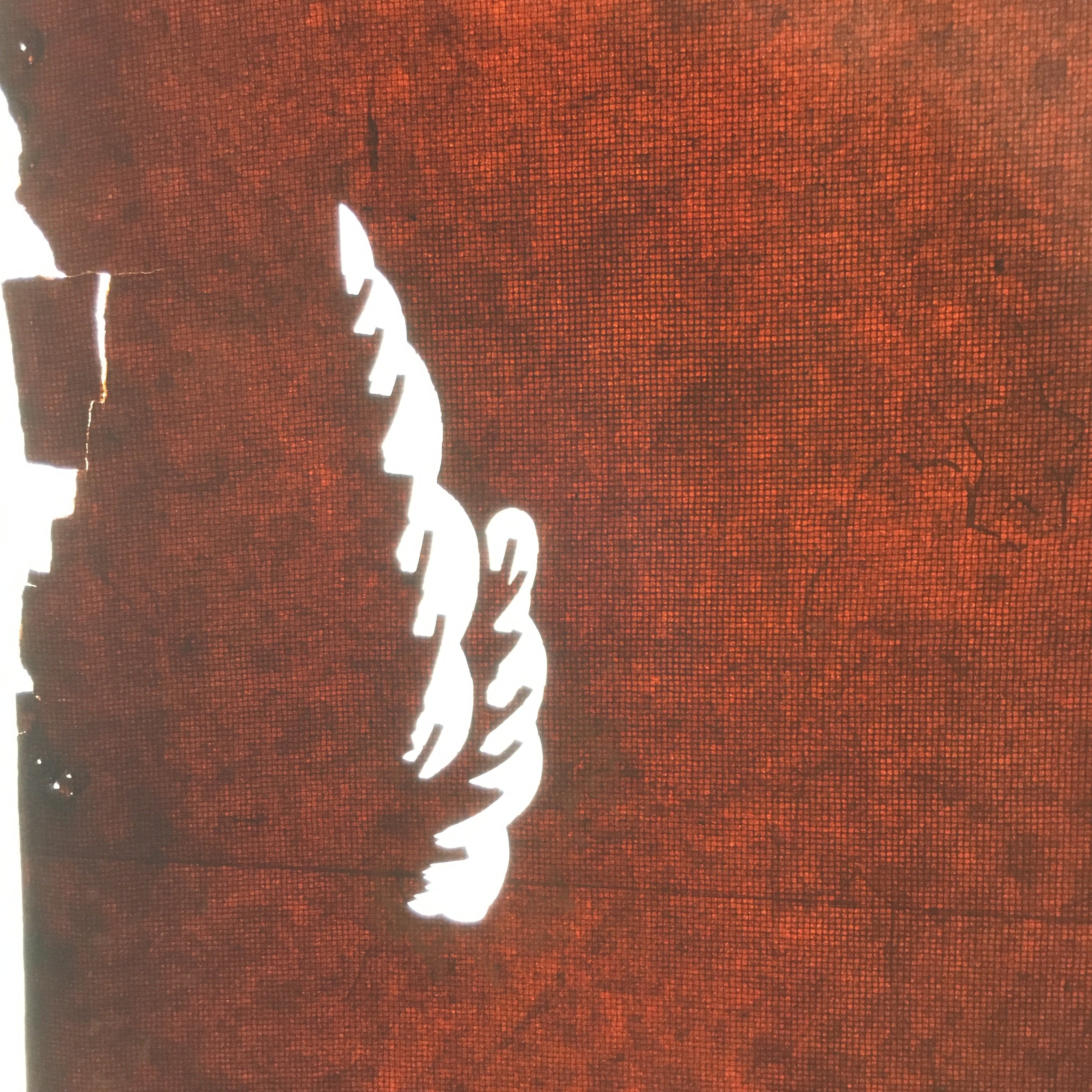 Antique Japanese Katagami Kimono Stencil Katazome Design Pine Leaf C814